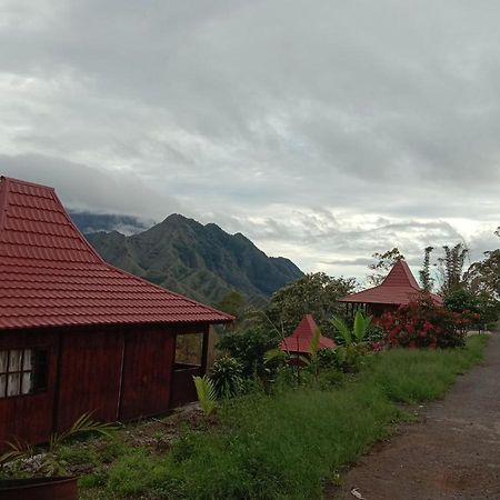 Home Stay Wolokoro Ecotourism Bajawa Buitenkant foto