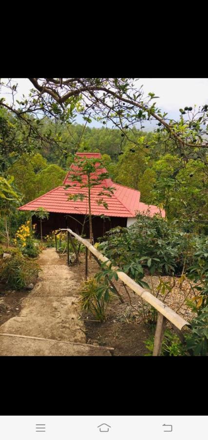 Home Stay Wolokoro Ecotourism Bajawa Buitenkant foto