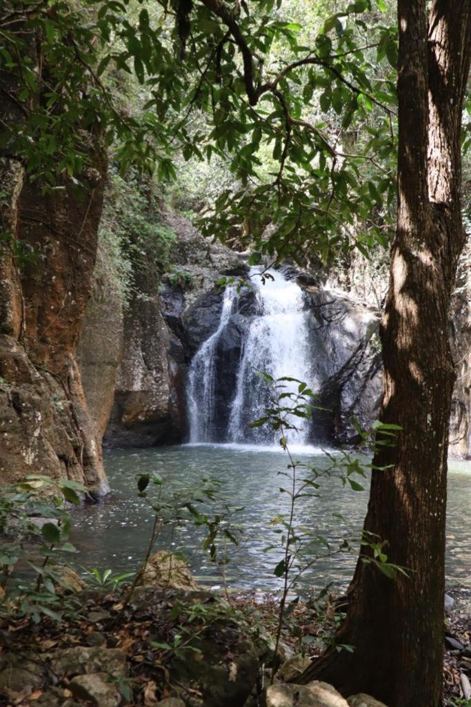 Home Stay Wolokoro Ecotourism Bajawa Buitenkant foto